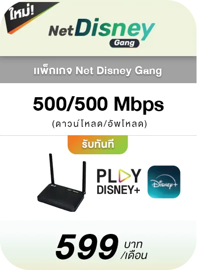 Net Lite Disney Gang สมัครเน็ตตอนนี้รับ Disney+ ไปดูพร้อมกล่องดูทีวี AIS PLAYBOX