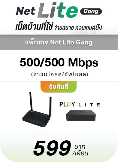 เน็ตบ้าน NEt Lite Gang เน็ตบ้านที่ใช่ จ่ายสบาย