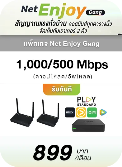 Home Net Smart Gang New