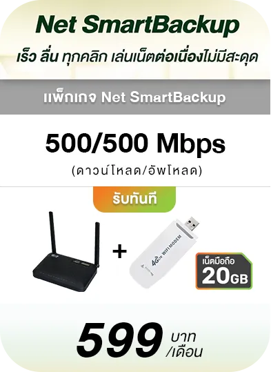 Net SmartBackup