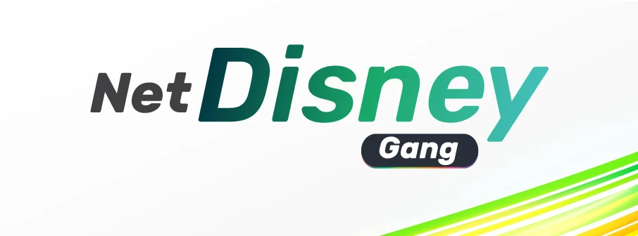 Package Net Disney Gang