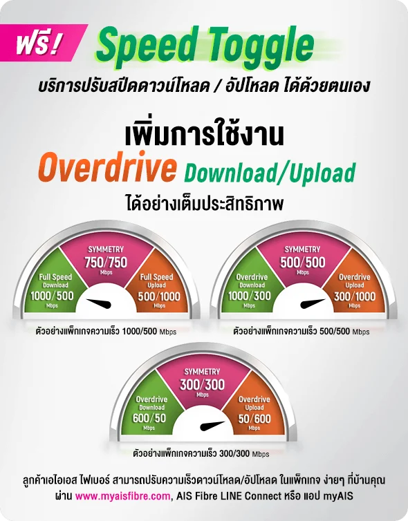 speedtoglgle-broadband24-300-mb